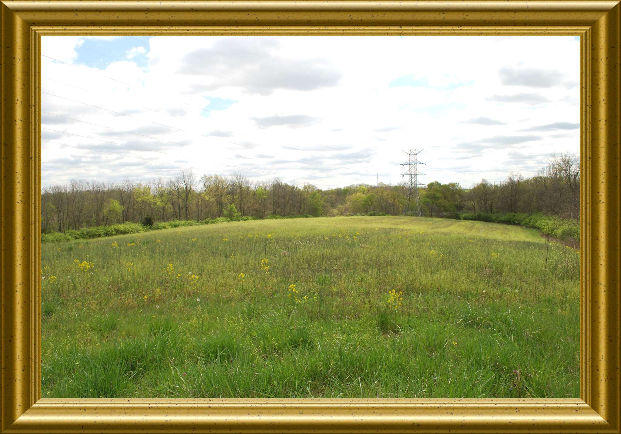 195 acres Germantown Rd (RT 3056) Maysville, KY