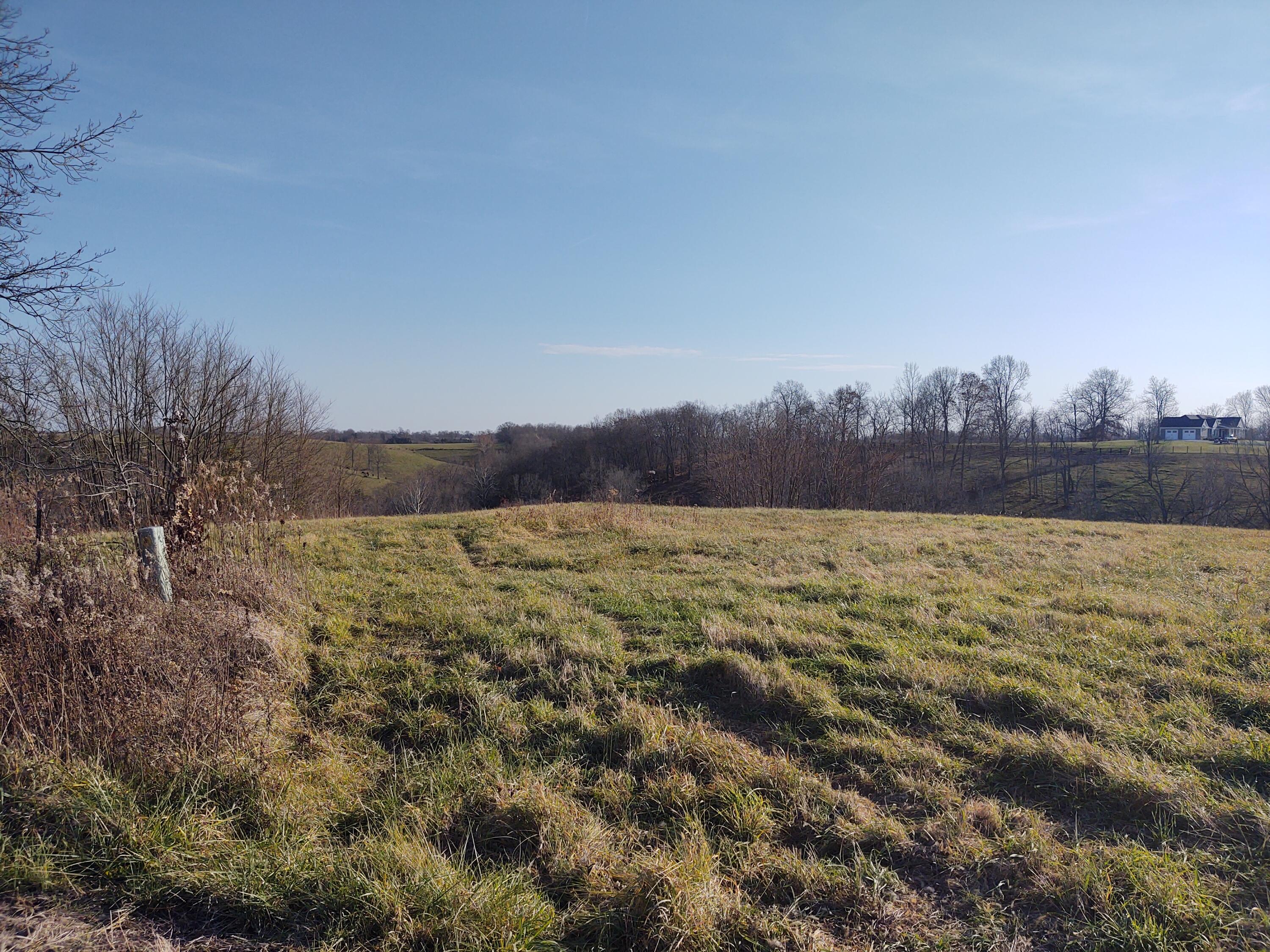 Photo 2 for LOT 10 Hickory Hill Court Foster, KY 41043