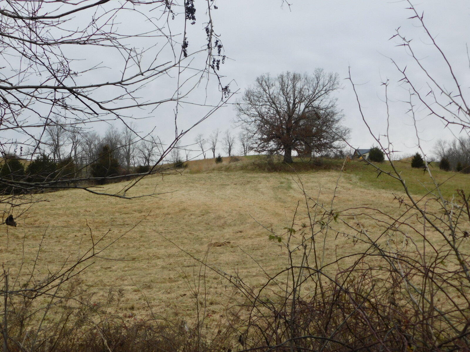 Photo 3 for Lot 6 Owenton Road Stamping Ground, KY 40379