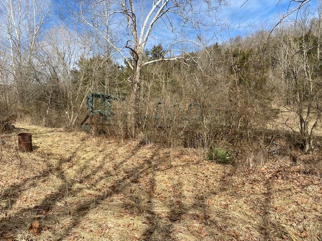 Photo 1 for 20220 Bodey Hill Rd Patriot, IN 47038